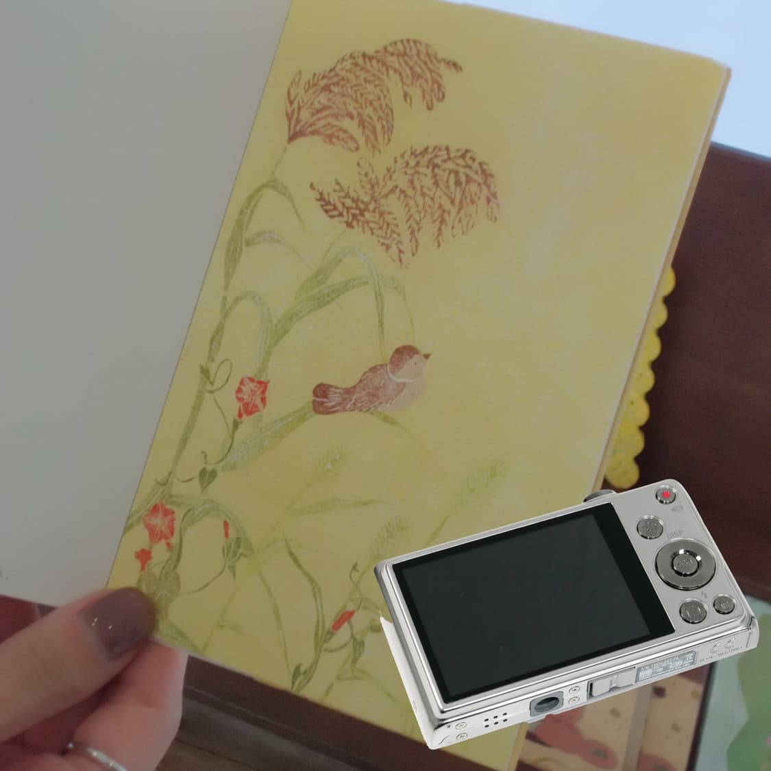 Exilim zs-10 (✨민트급/풀세트) 상품이미지5