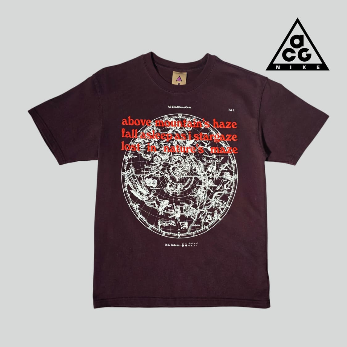 [M]나이키 ACG 스타게이즈 반팔티 상품이미지1
