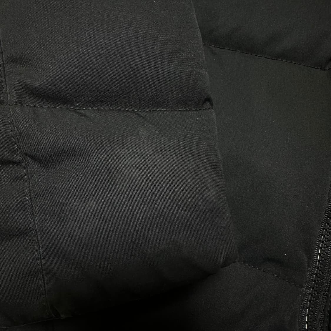 ✨ (바배) 폴로 랄프로렌 빅포니 덕다운 여성 패딩  상품이미지6