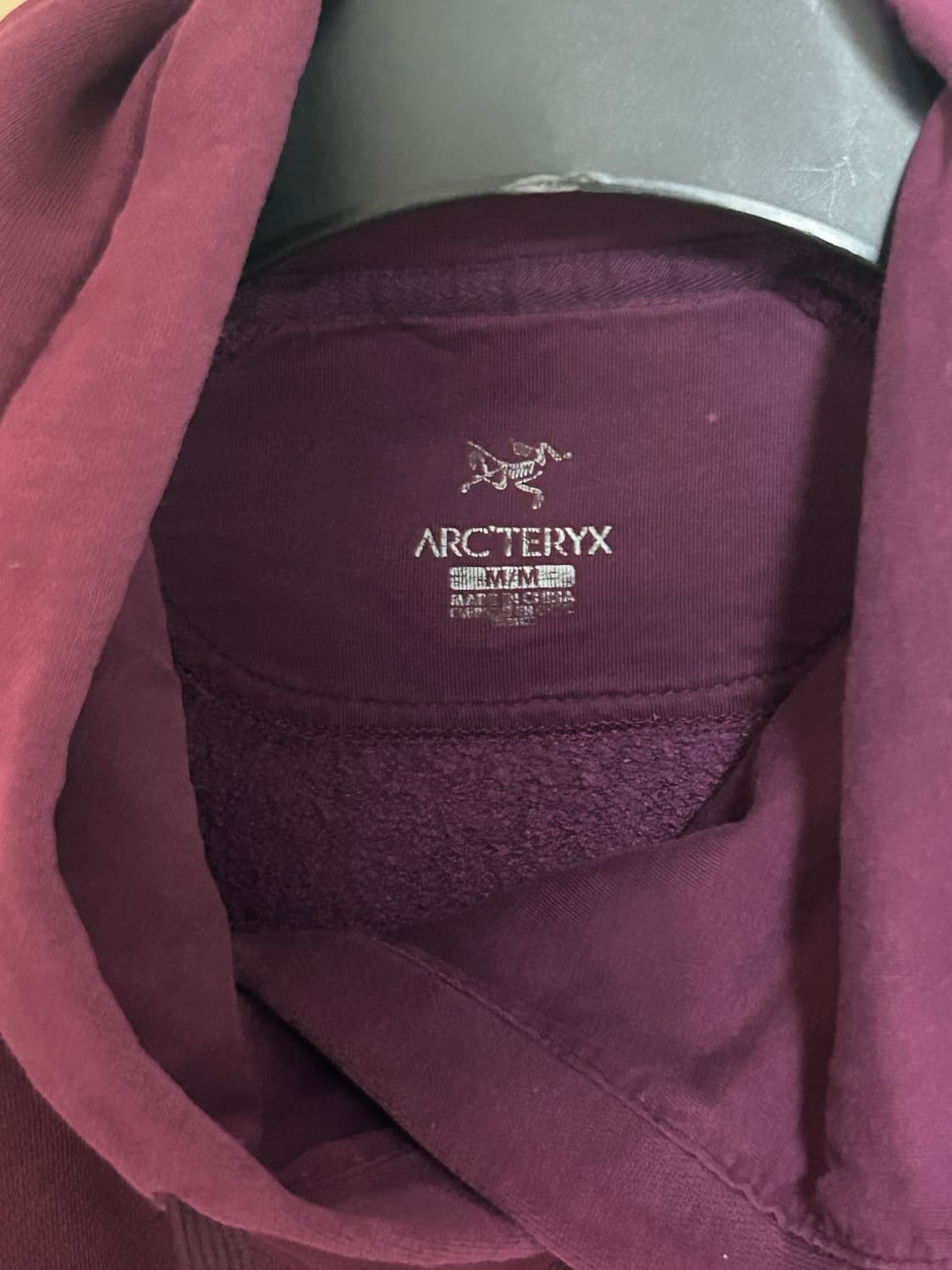 아크테릭스 빅로고 후드티 상품이미지7