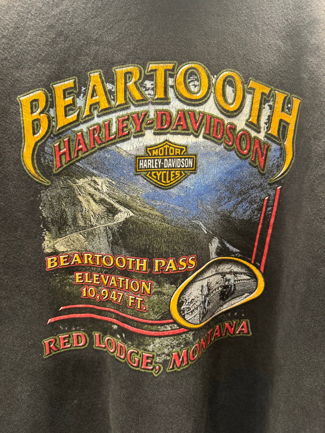 90s할리데이비슨 체인로고 후디 상품이미지4