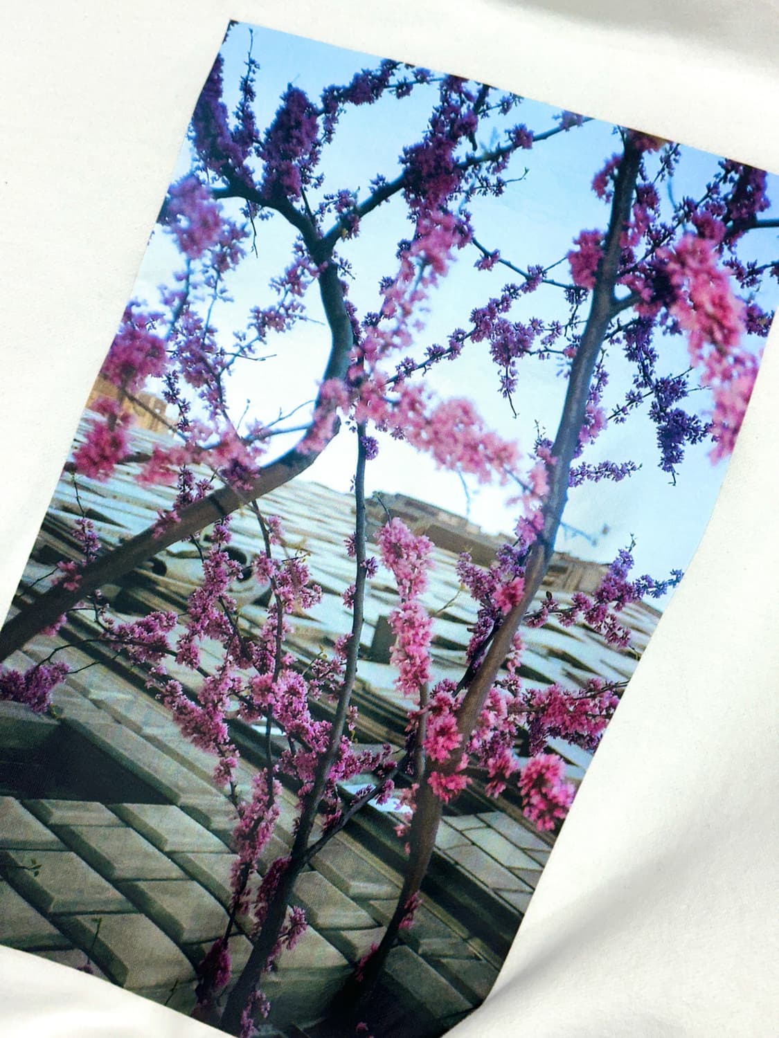 피오갓에센셜 백프린팅 스웻셔츠M 상품이미지7