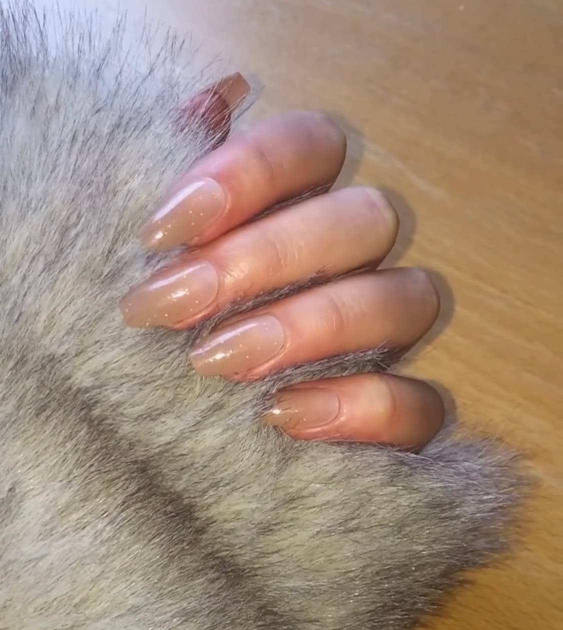 세미크롭 퍼자켓 베이지 상품이미지6