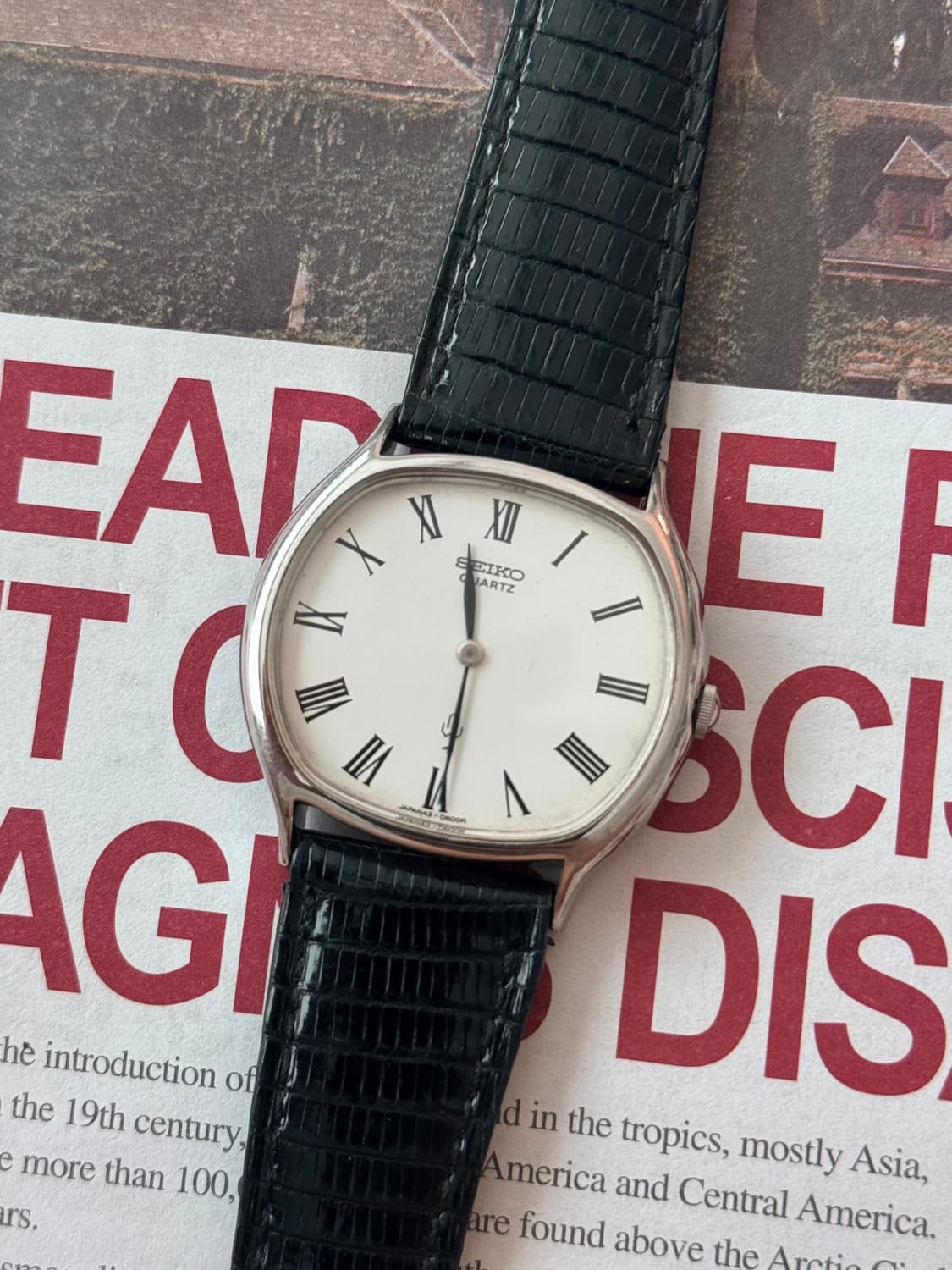 Seiko 세이코 Roman index  White Diel 상품이미지1