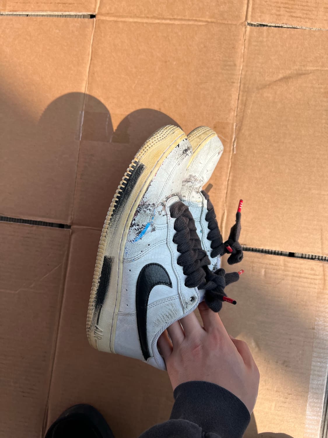 265피마원 상품이미지5