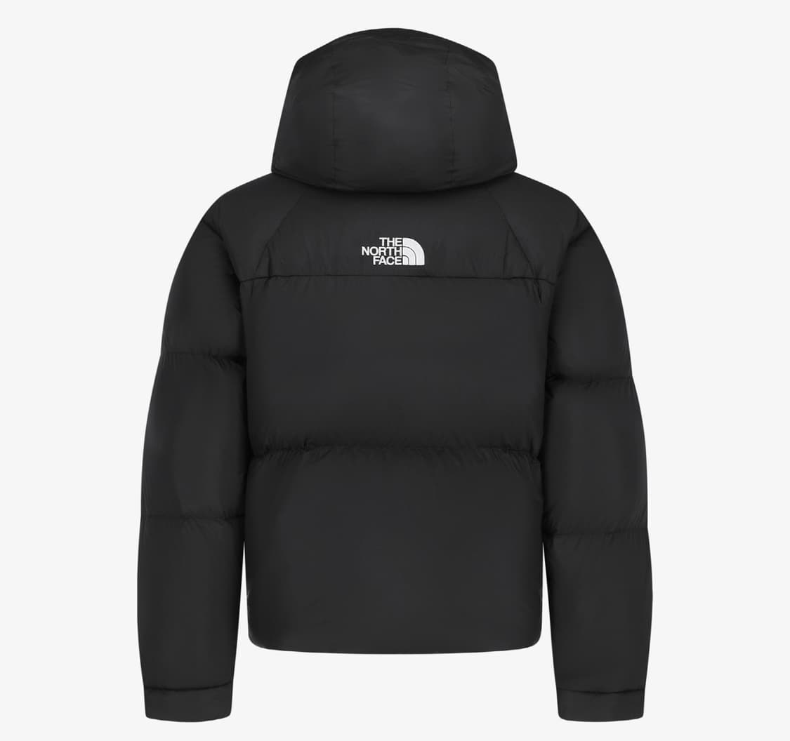 노스페이스 프로젝트 다운 S 90 상품이미지2