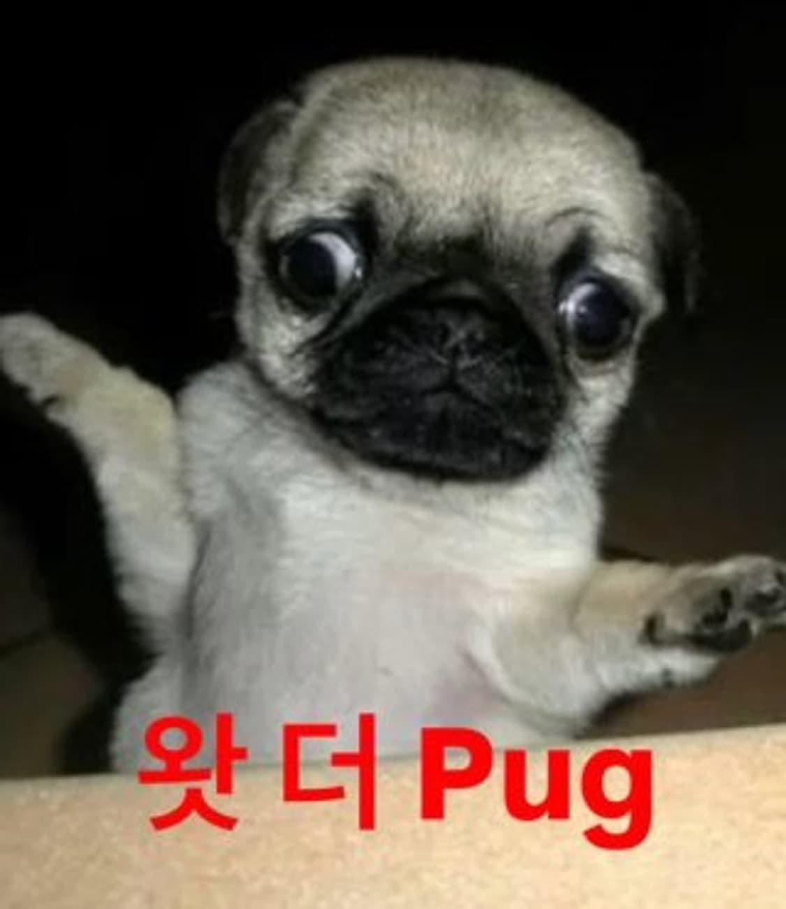 12월 4일 23시까지 세일합니다 상품이미지1