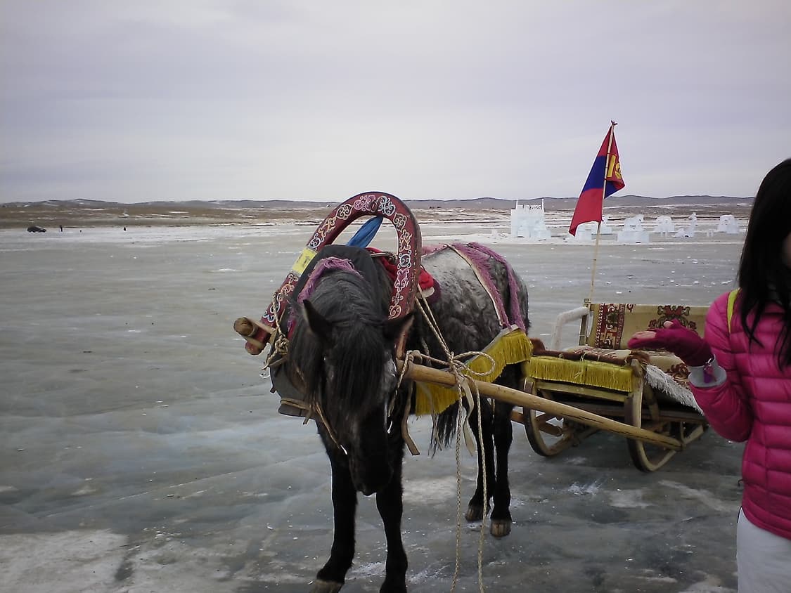 Toshiba BW10 Yellow 상품이미지10