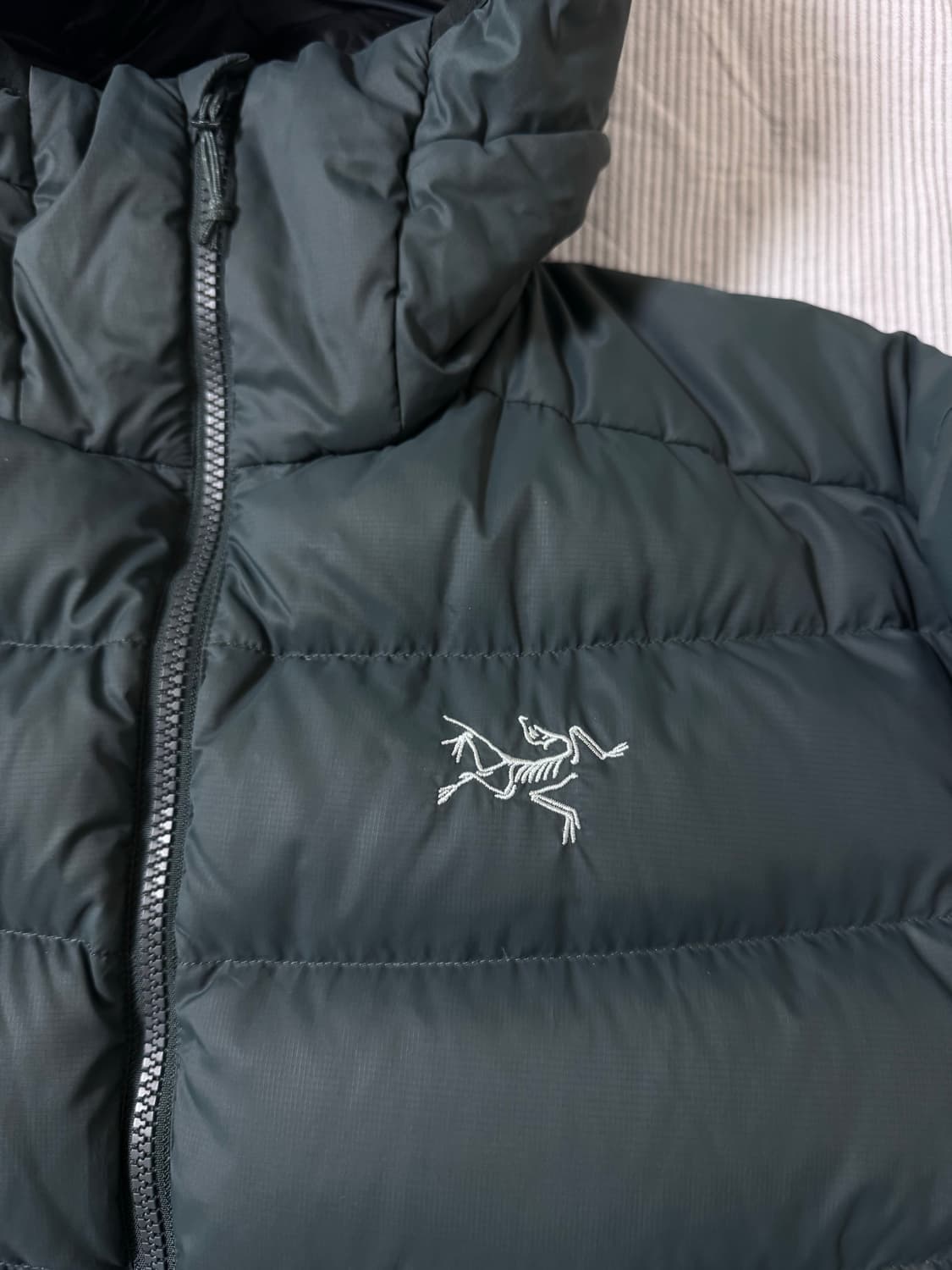 (SS급) 아크테릭스 토륨 AR 후디 파라독스 상품이미지3