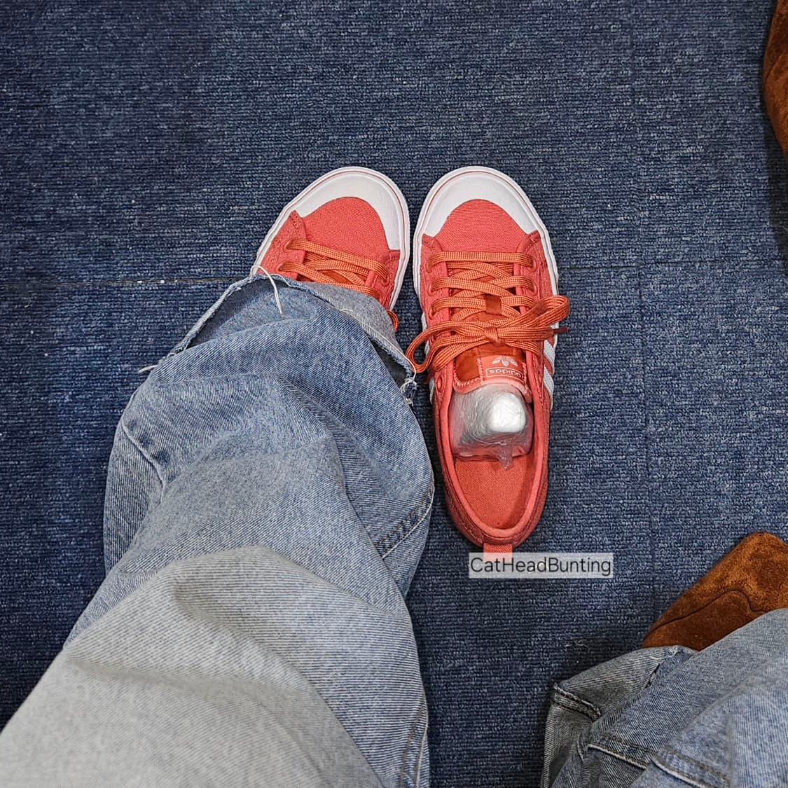 착샷O_아디다스 니짜 트레포일 로우 [세탁 완료] 상품이미지1