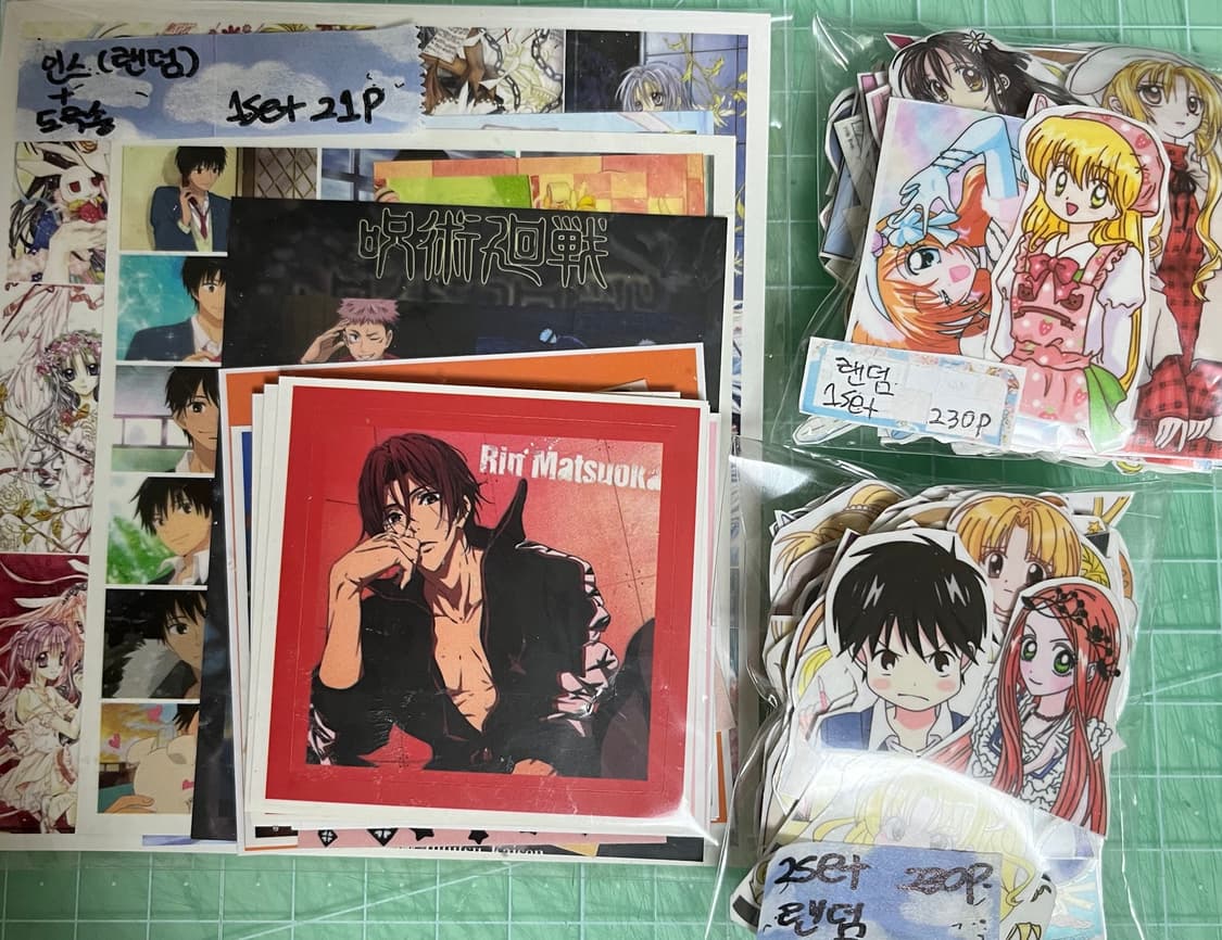 애니 인스컷+애니 도무송 세트 상품이미지1