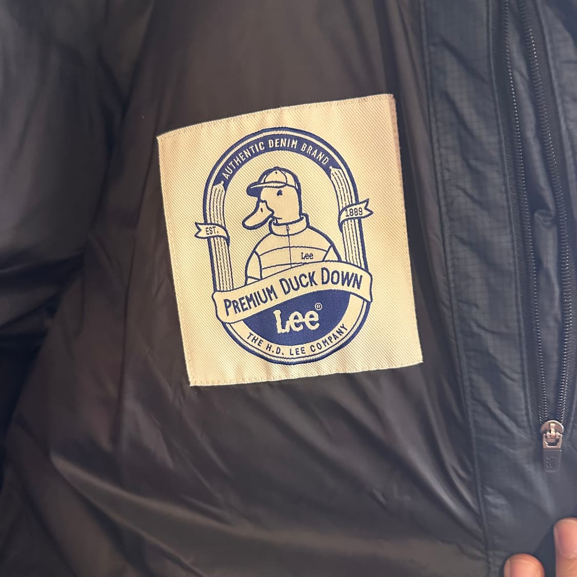 LEE 익스페디션 프리미엄 덕다운 M 100 상품이미지5
