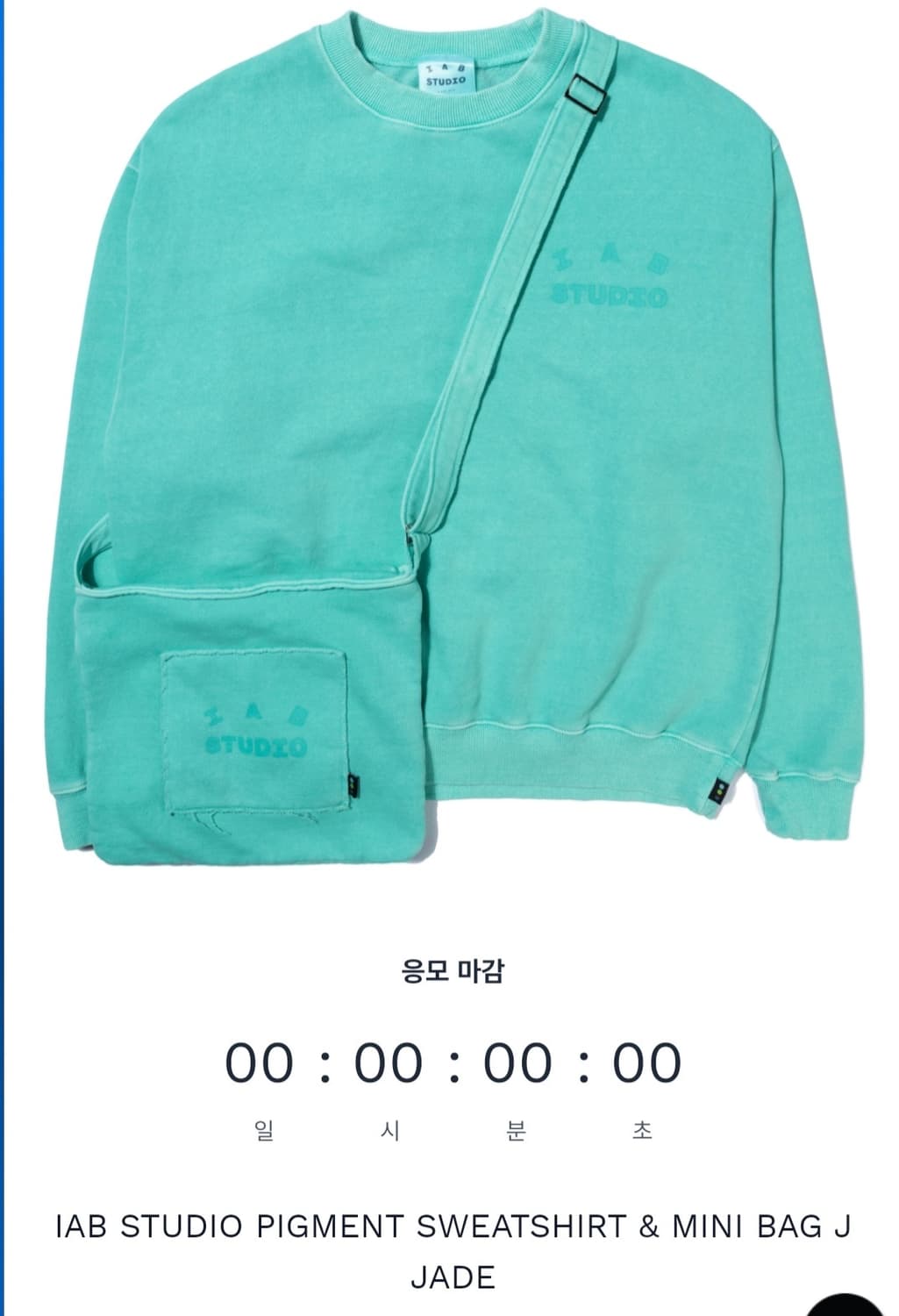 아이앱 스튜디오 피그먼트 스웨트셔츠 & 미니백 제이드 상품이미지1