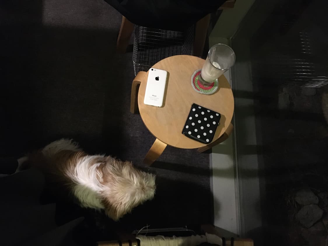 꼼데가르송 도트 지갑 상품이미지4