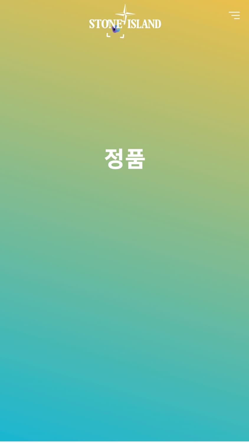 스톤아일랜드 반발티  사이즈 95 상품이미지6