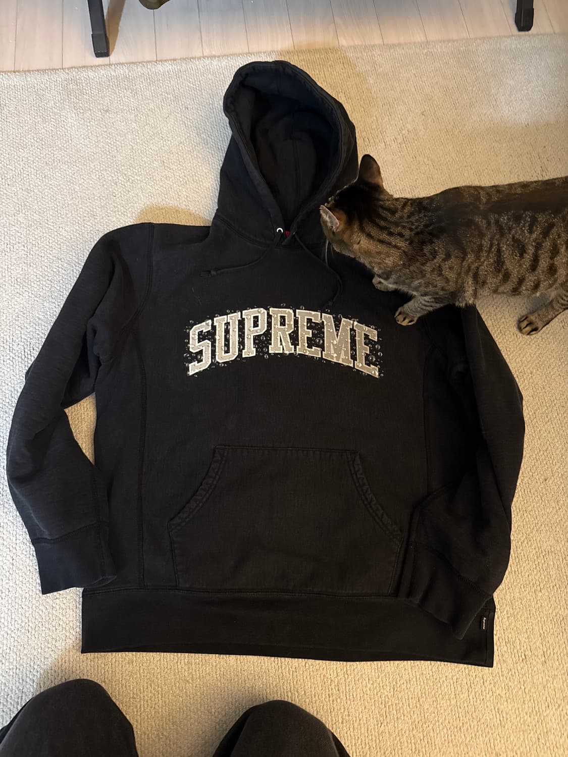 18FW Supreme Water Arc Hooded Sweatshirt 상품이미지9