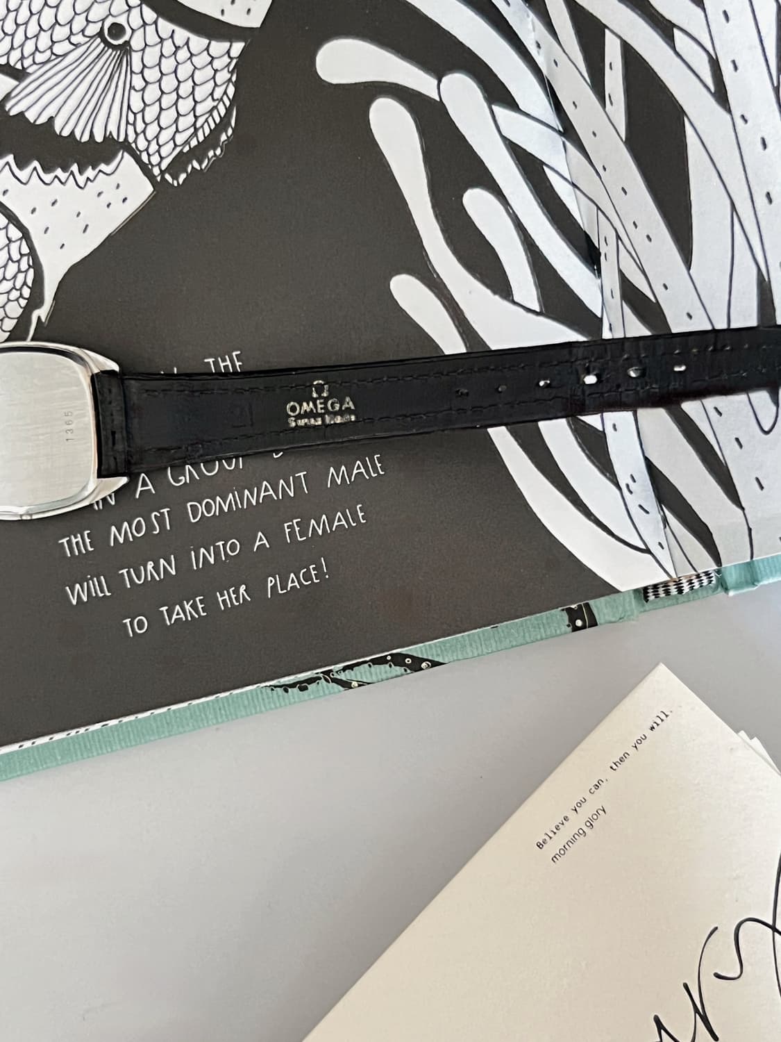 오메가 드빌  스퀘어 여성 시계 상품이미지7