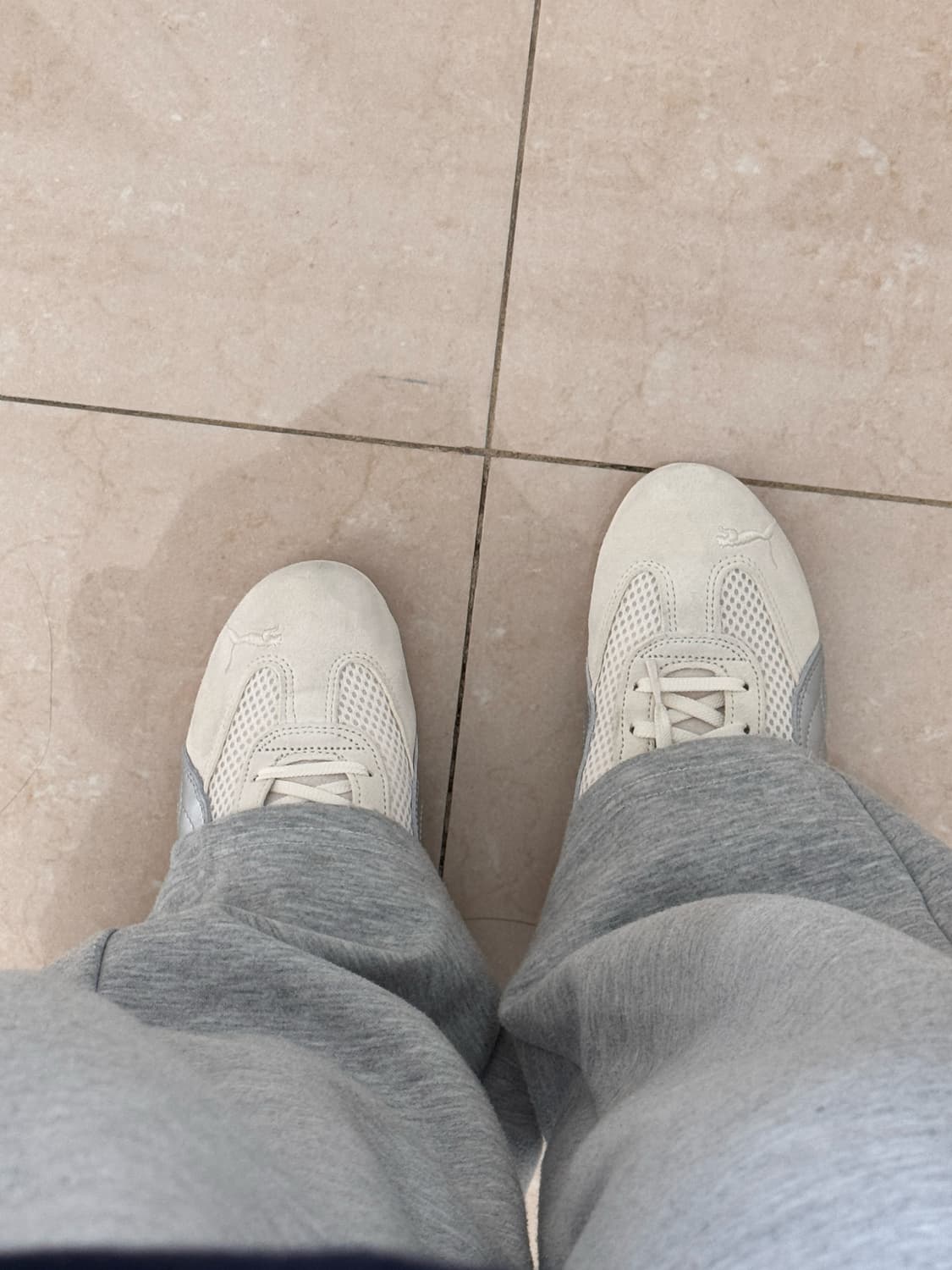 푸마 스피드캣 프리미엄 상품이미지3