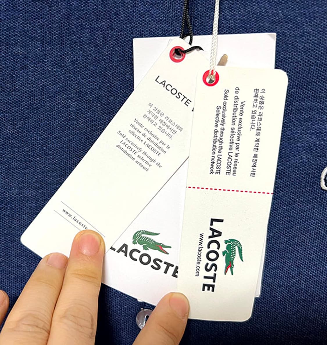 라코스테 여자 카라티 긴팔 34사이즈 캐주얼 춘추 새상품 XS 85 44 상품이미지5