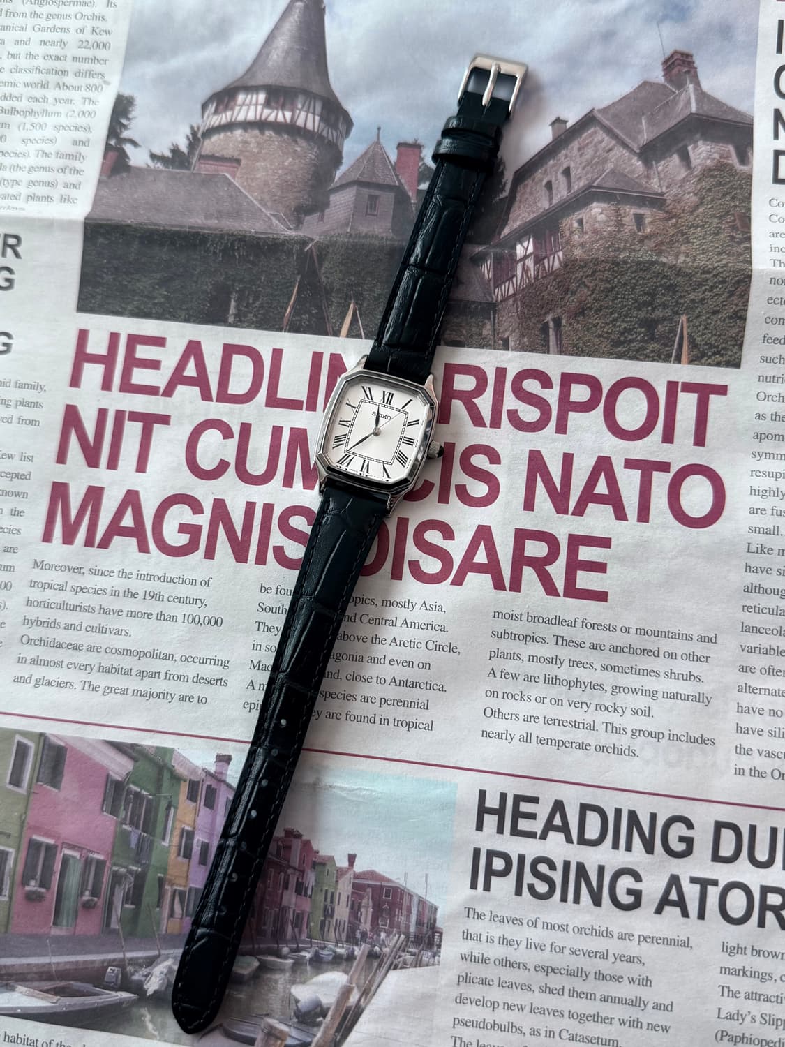 Seiko 세이코 United Arrows 로만 인덱스 상품이미지2