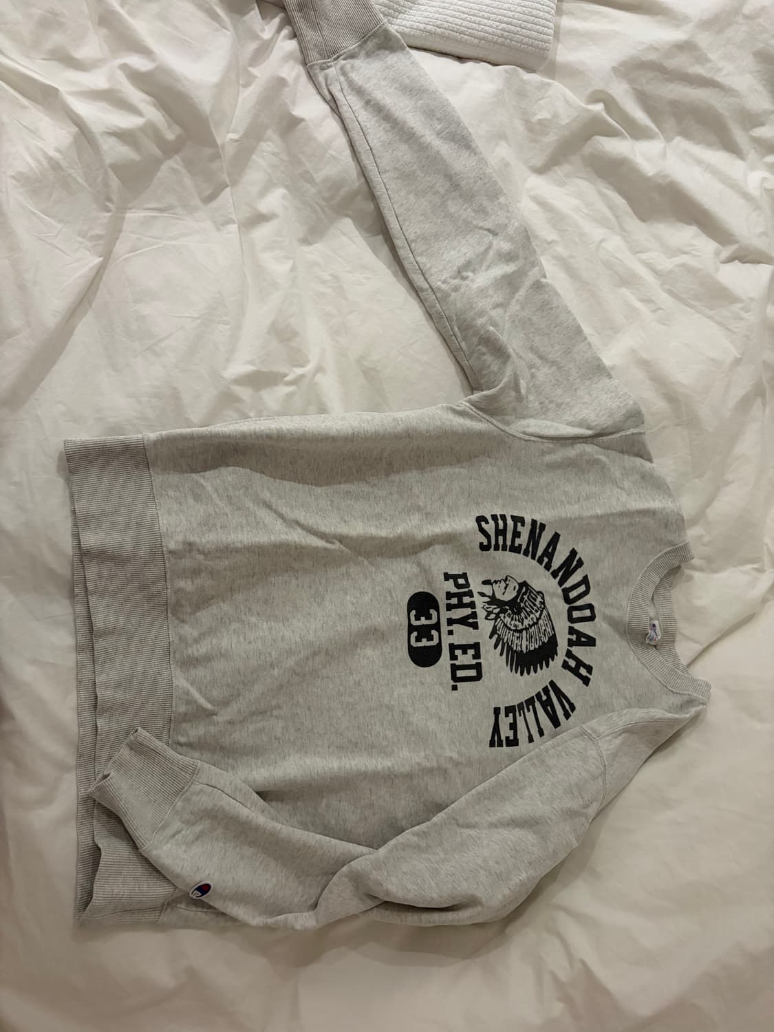 챔피온 맨투맨 오트밀xl (95-100) 상품이미지2