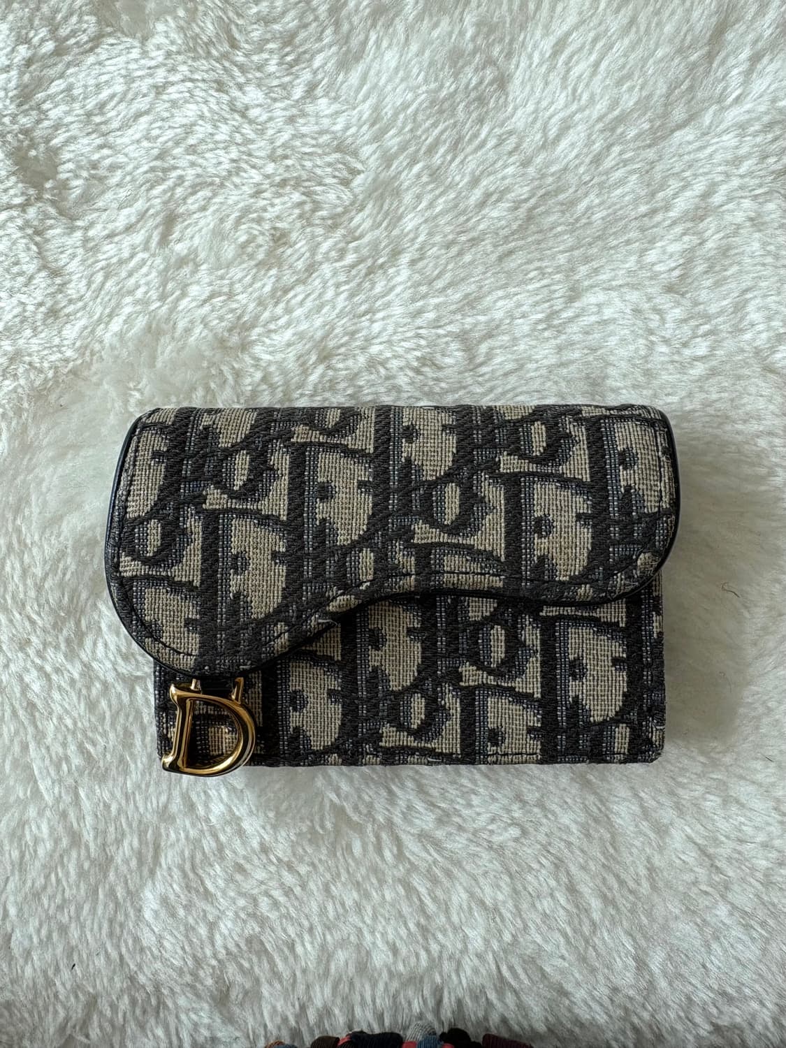 디올 오블리크 새들 카드지갑 상품이미지1