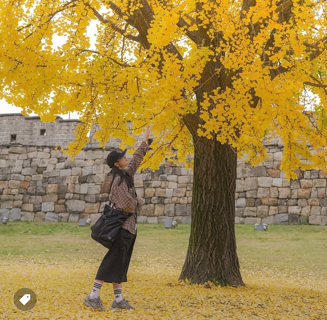 포터 투웨이 헬멧 백 상품이미지8