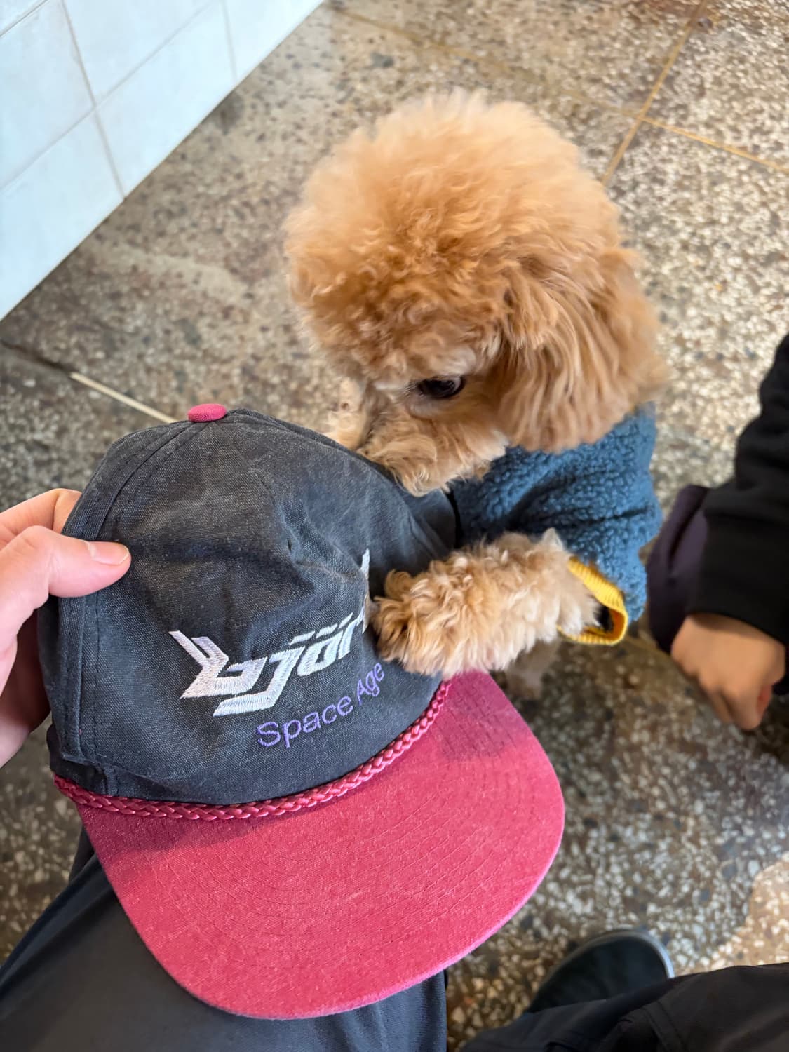 90s Bjork cap 상품이미지3