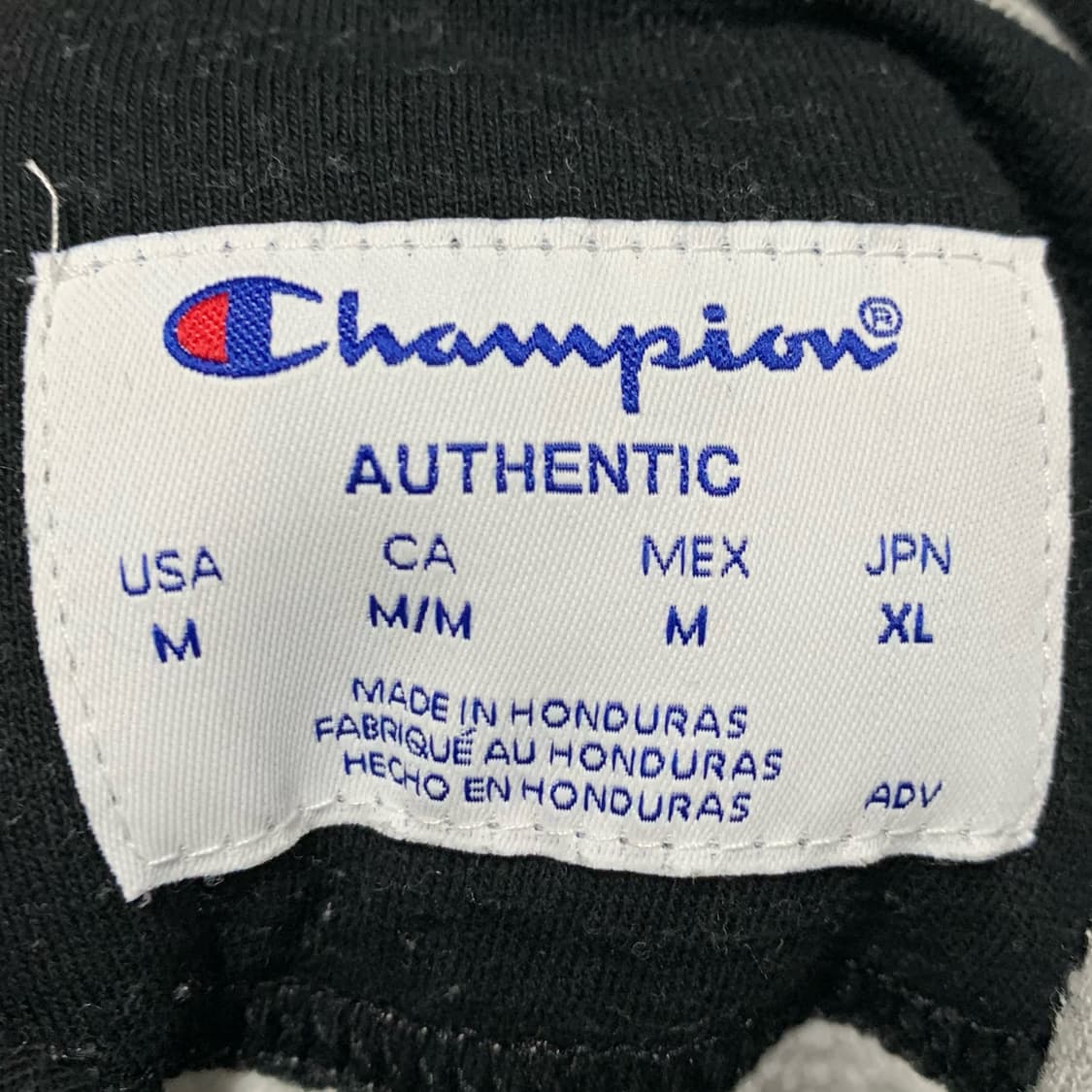 [L] 챔피온 베이직 후디 상품이미지4