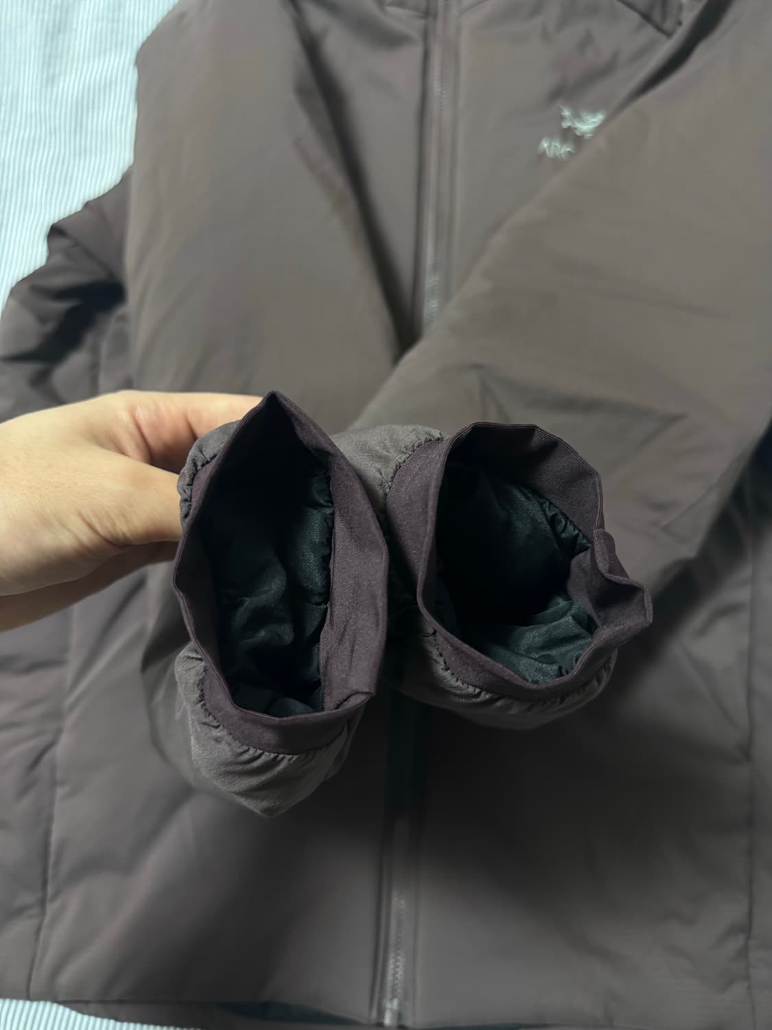 아크테릭스 아톰 AR 후디 피그먼트  상품이미지9