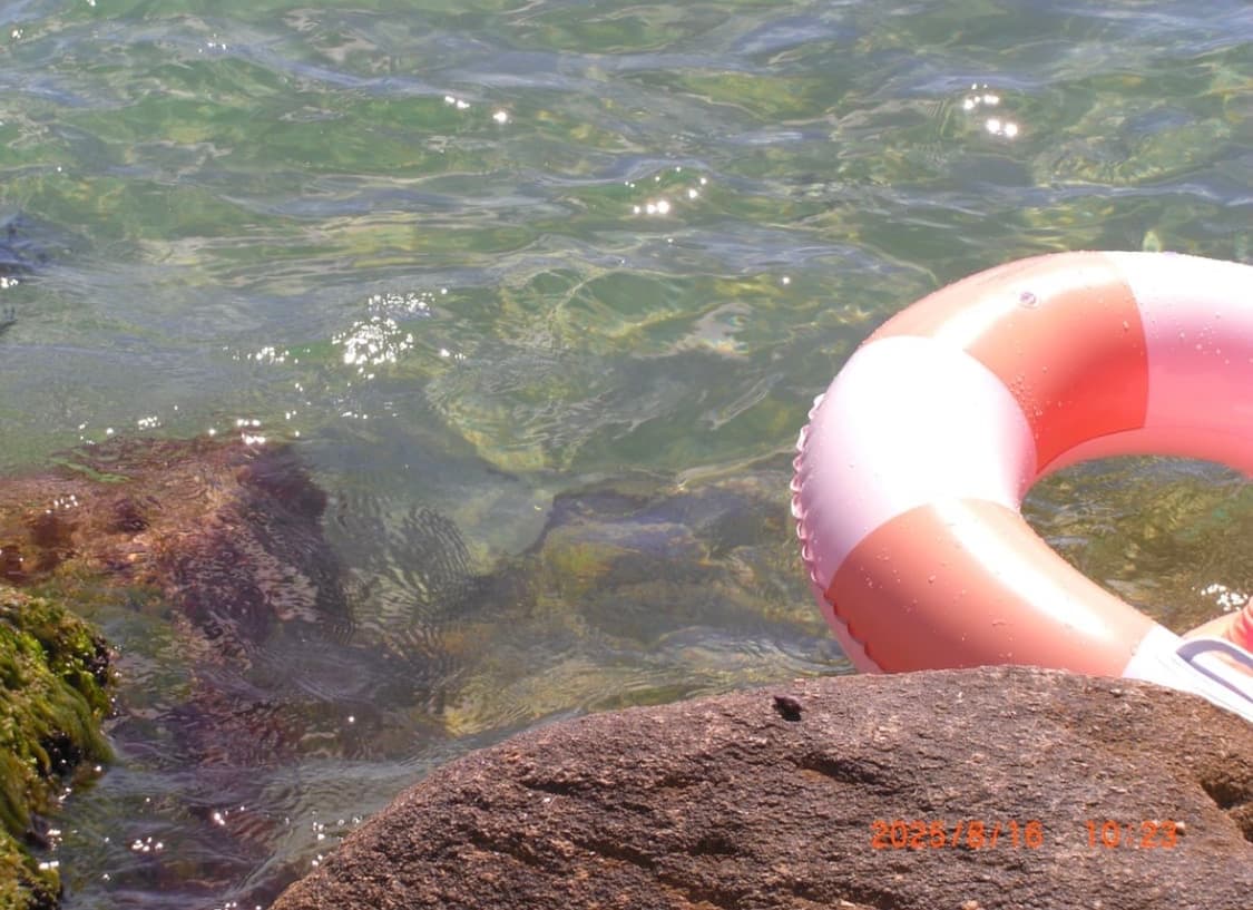 [*인기!💖/작례⭕️] 카시오 엑슬림 EX-Z1080 카메라 z1050 상품이미지10