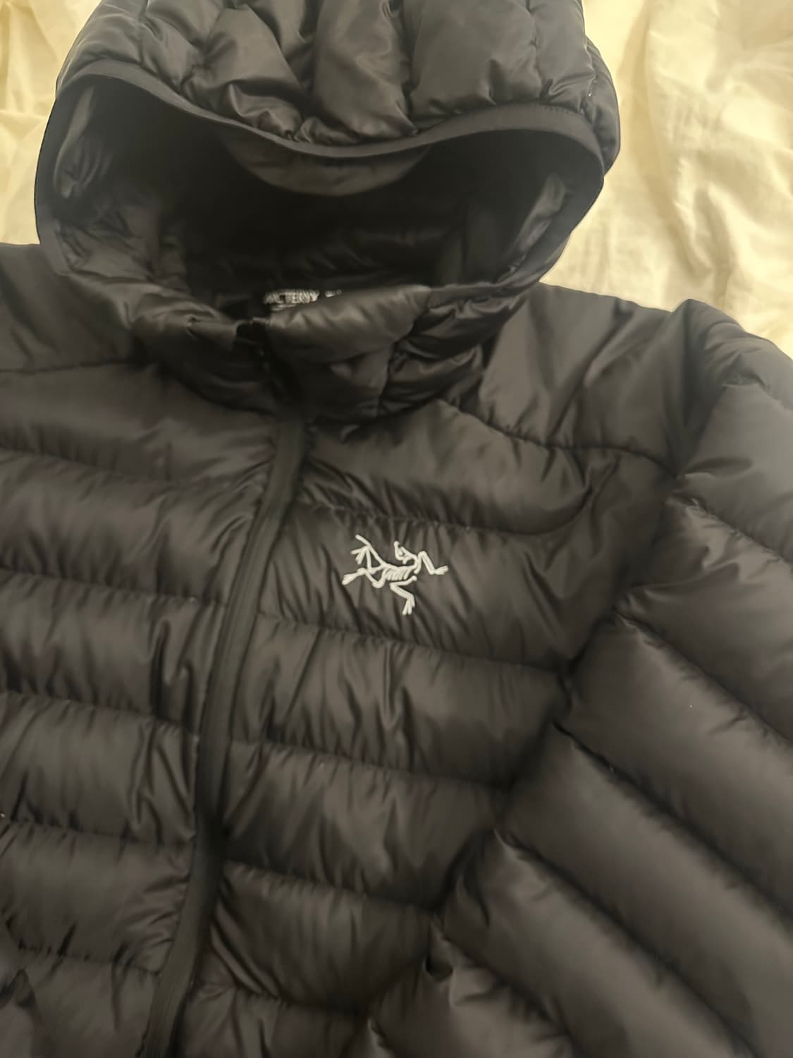 아크테릭스 세륨 후디 블랙 M 상품이미지2