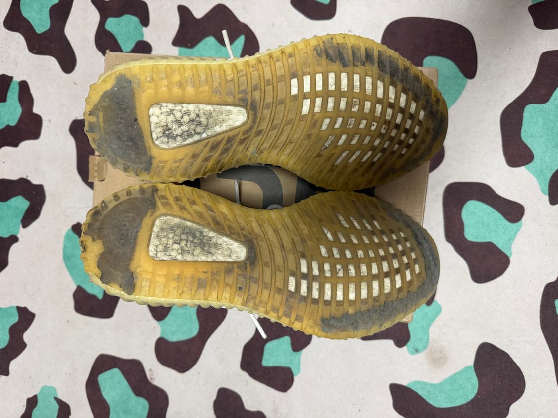 이지350 지브라 상품이미지4