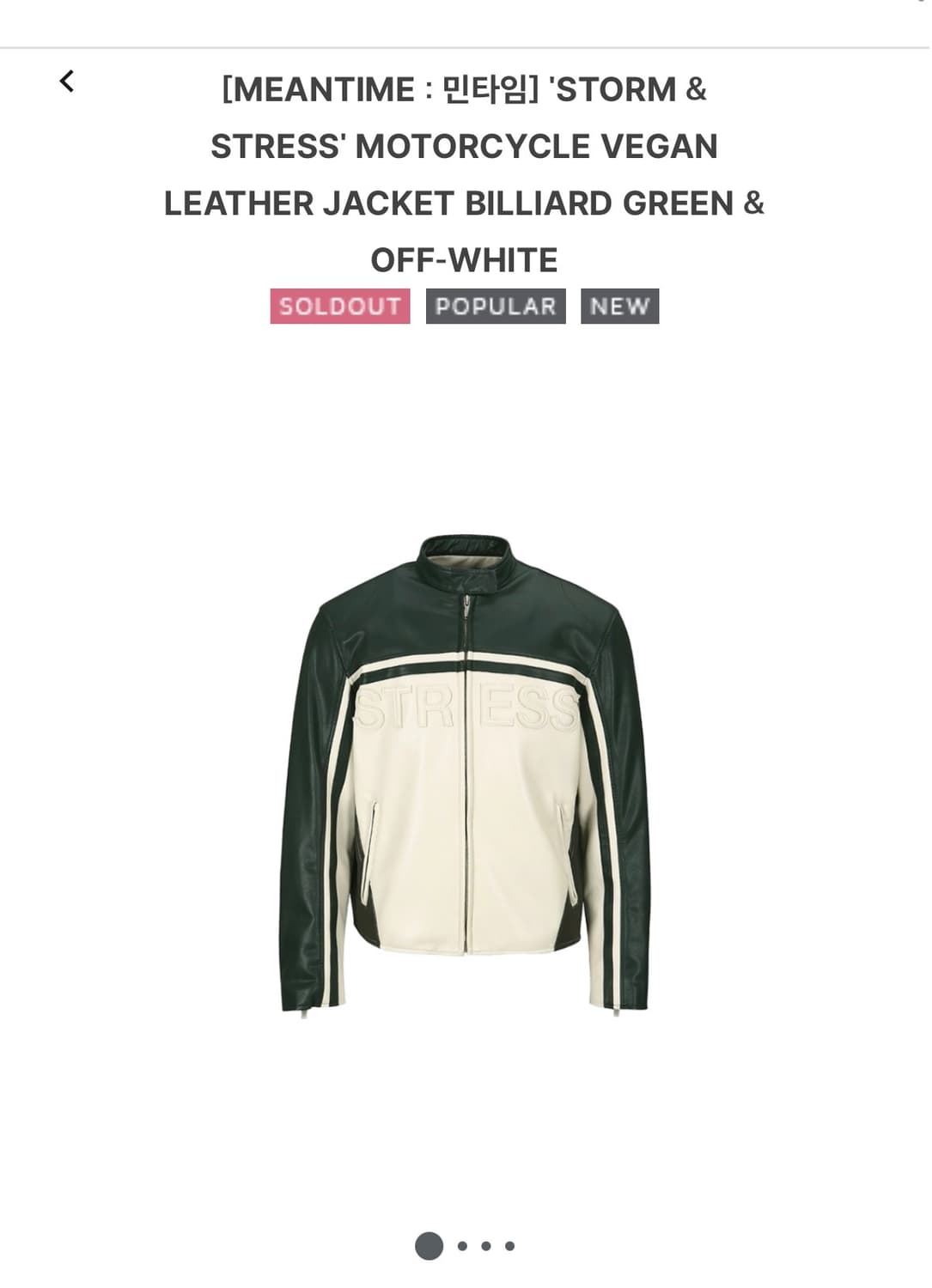 Meantime Leather Jacket L 상품이미지1