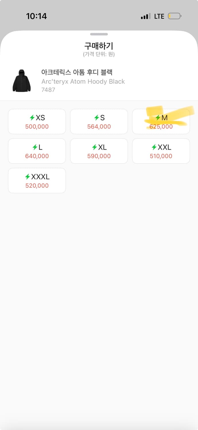 아크테릭스 아톰 상품이미지1