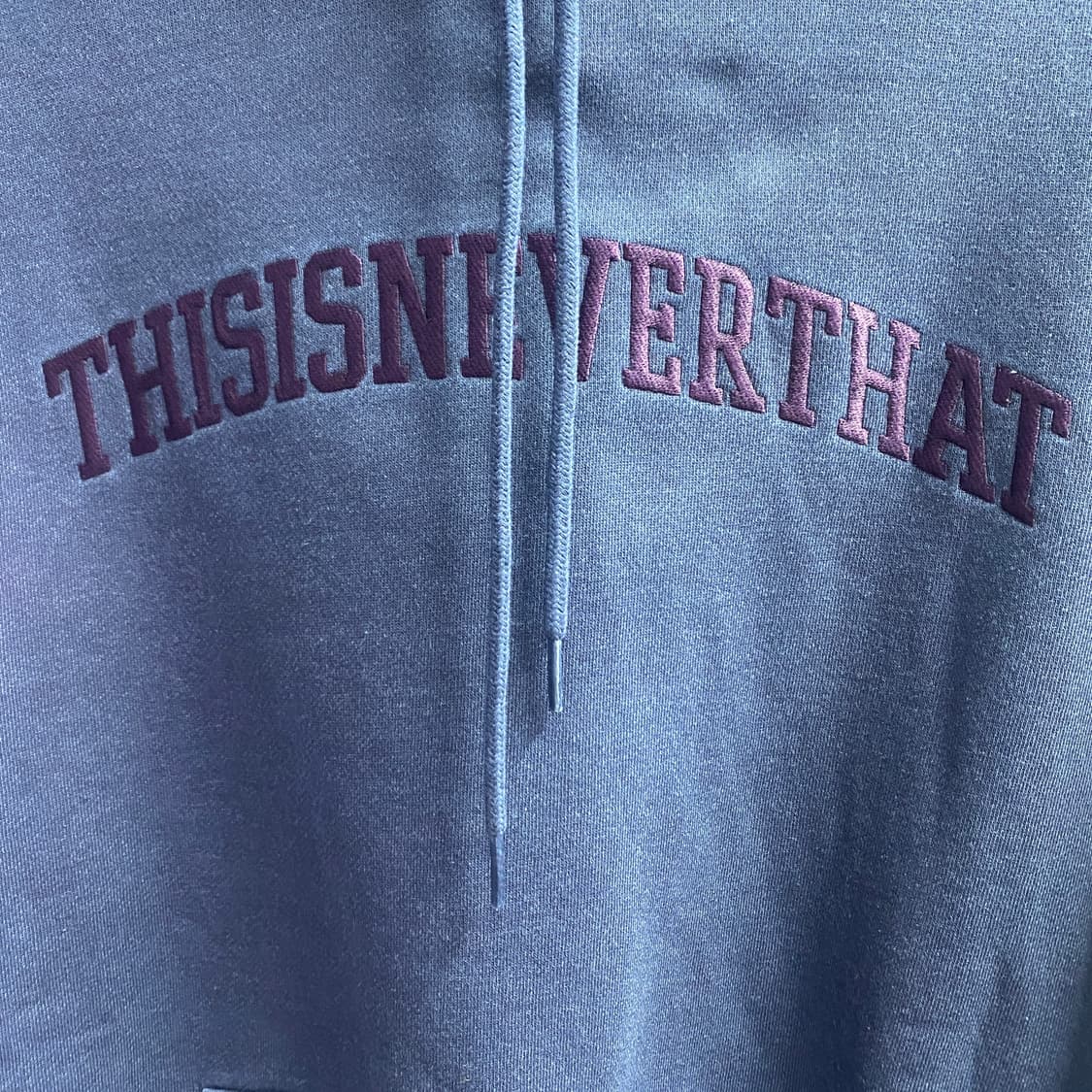 디스이즈네버댓 빅로고 네이비 후드티 B3859 상품이미지3