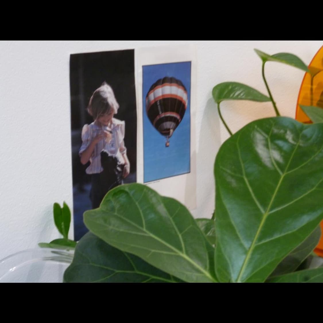 파나소닉 DMC-S2  베이비 블루 매트🌬️ 빈티지 디카 디지털카메라 상품이미지4