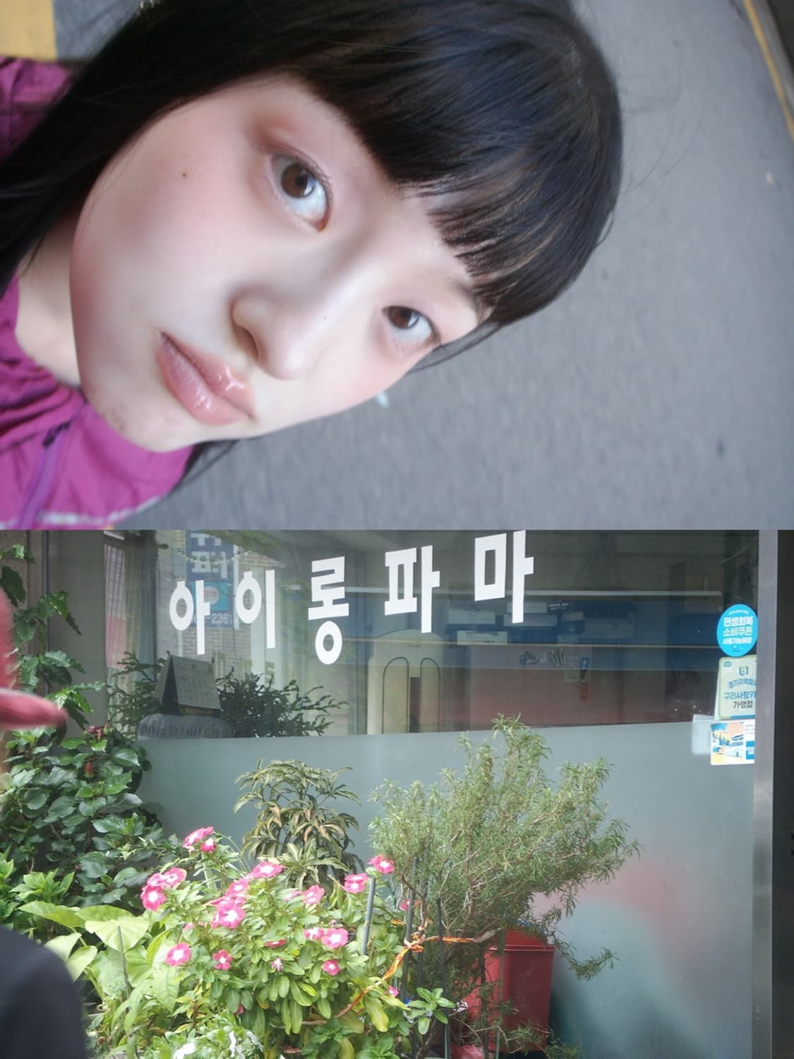 💿 코니카 미놀타 디미지 X1 💿 빈티지 디카 상품이미지10