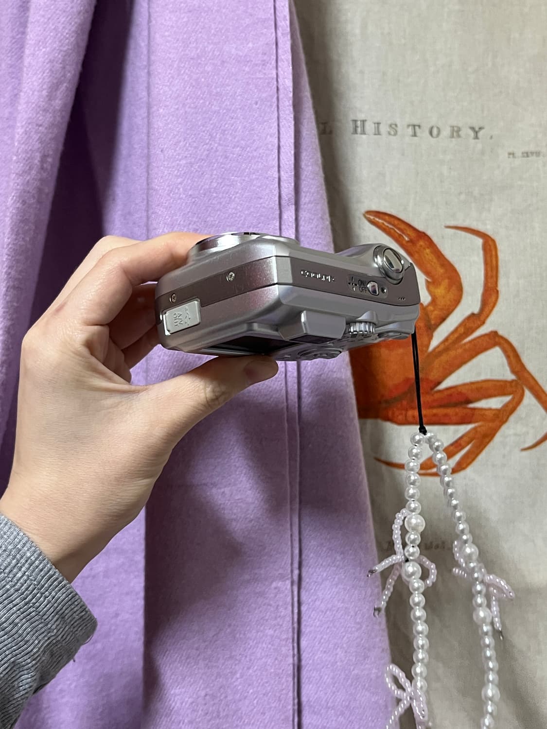 니콘 쿨픽스 3200 상품이미지4