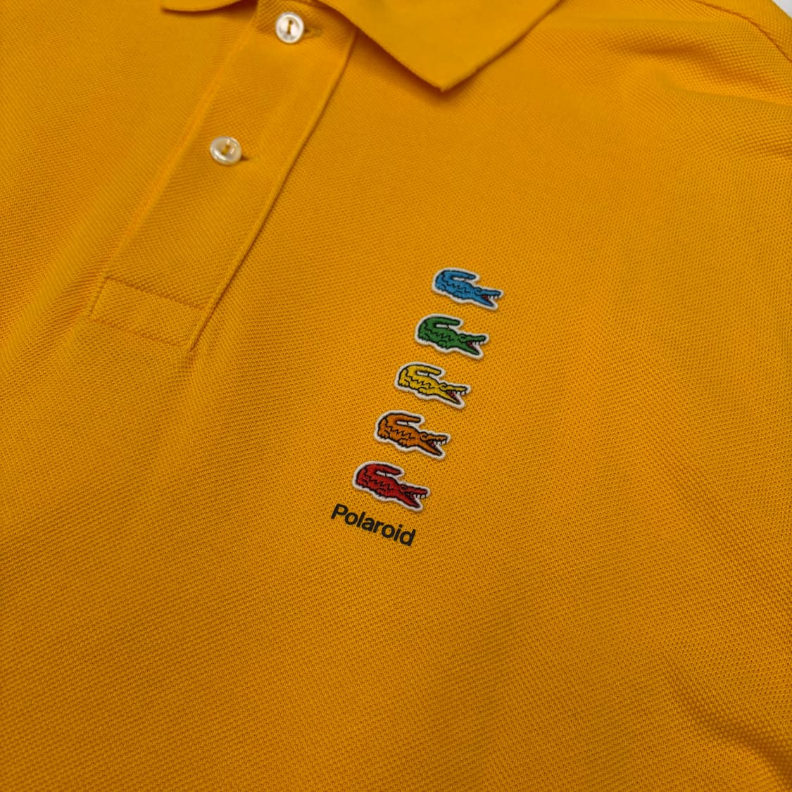 Lacoste x polaroid 라코스테 x 폴라로이드 콜라보 M 상품이미지3