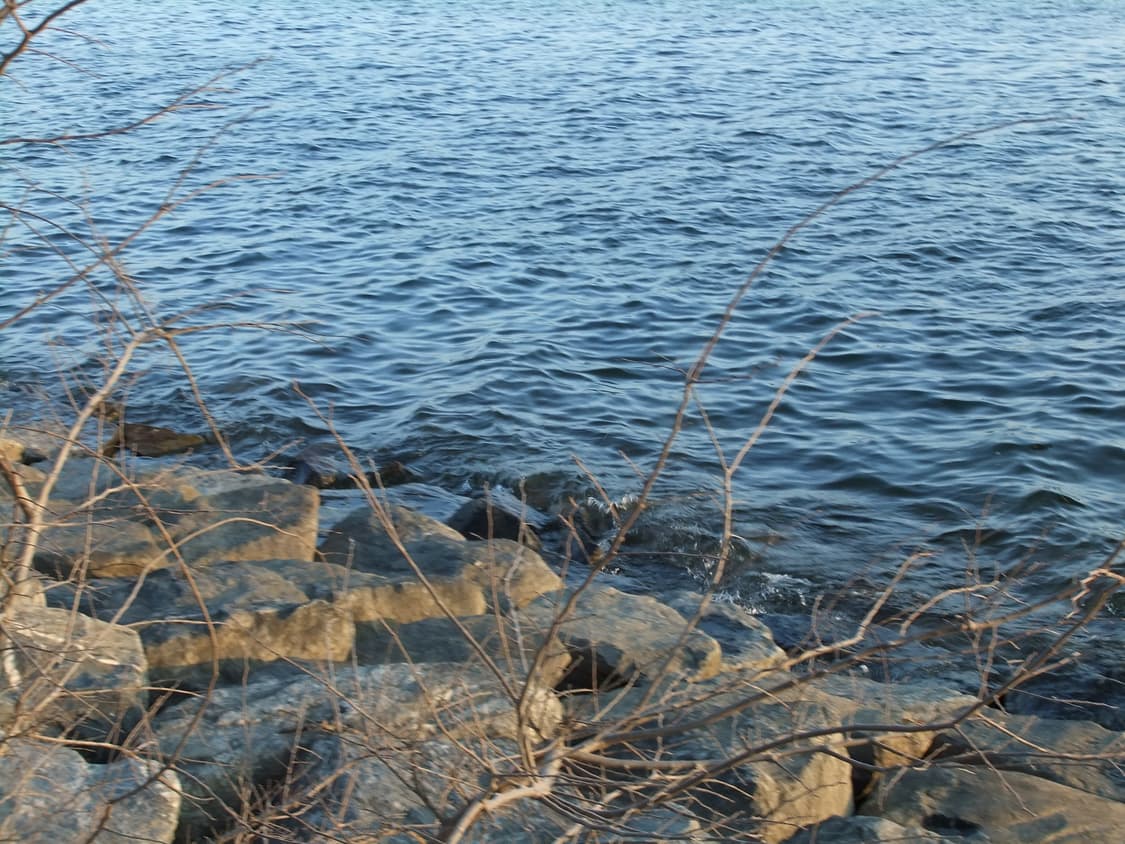 후지필름 fujifilm finepix f80exr 핑크 (작례O) 상품이미지9