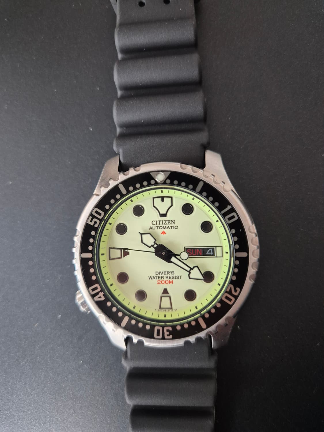 시티즌 복어 풀루메 상품이미지4