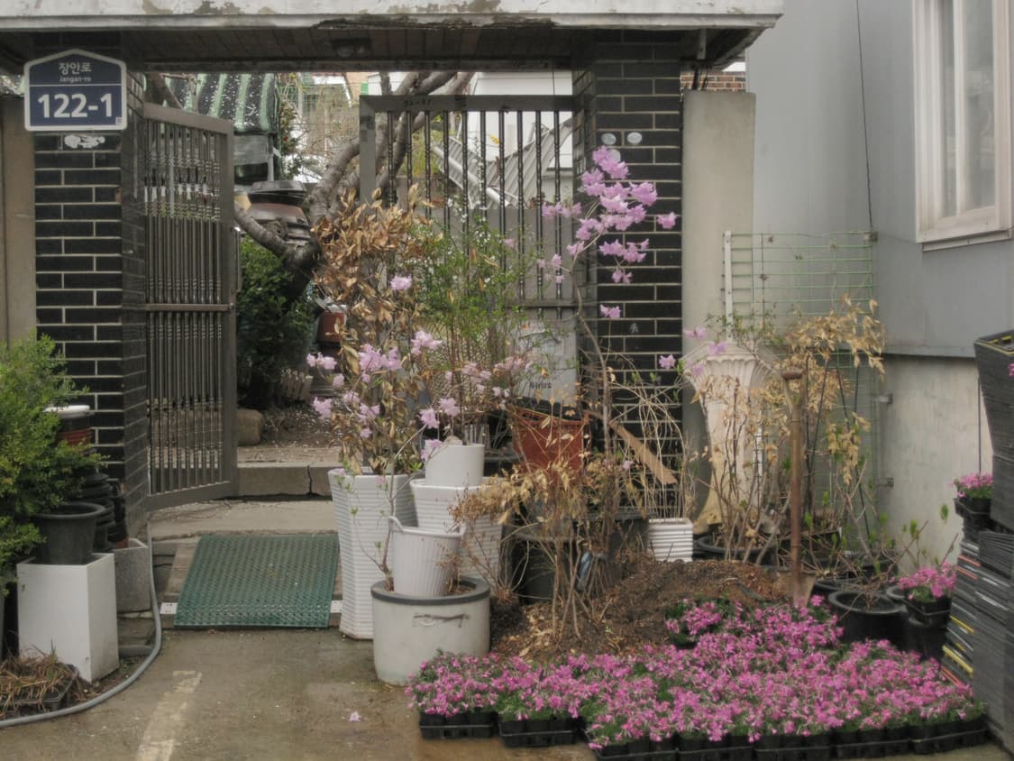 캐논 익서스 ixus 90IS 실버 디지털 카메라 상품이미지9