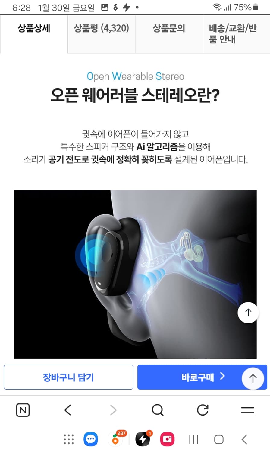 블라우풍트 이어폰 상품이미지4
