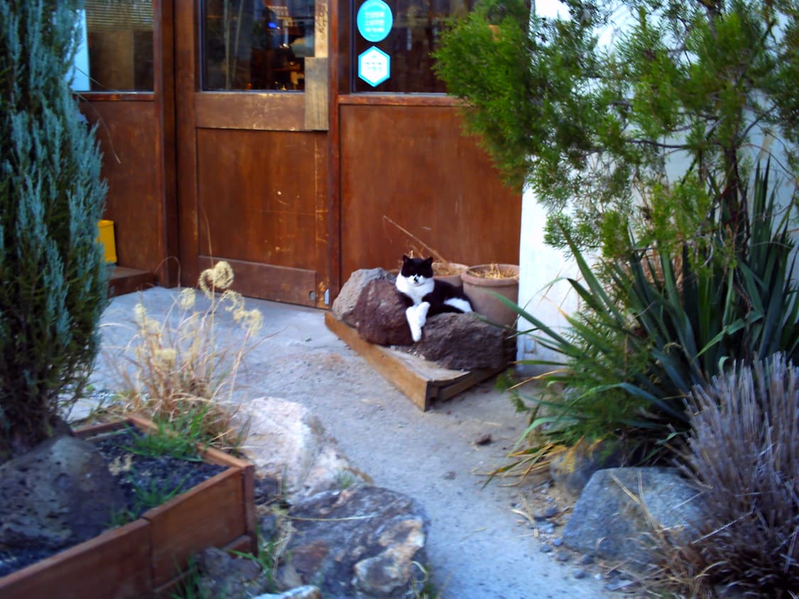 작례O vivitar 비비캠 vc5050  상품이미지7