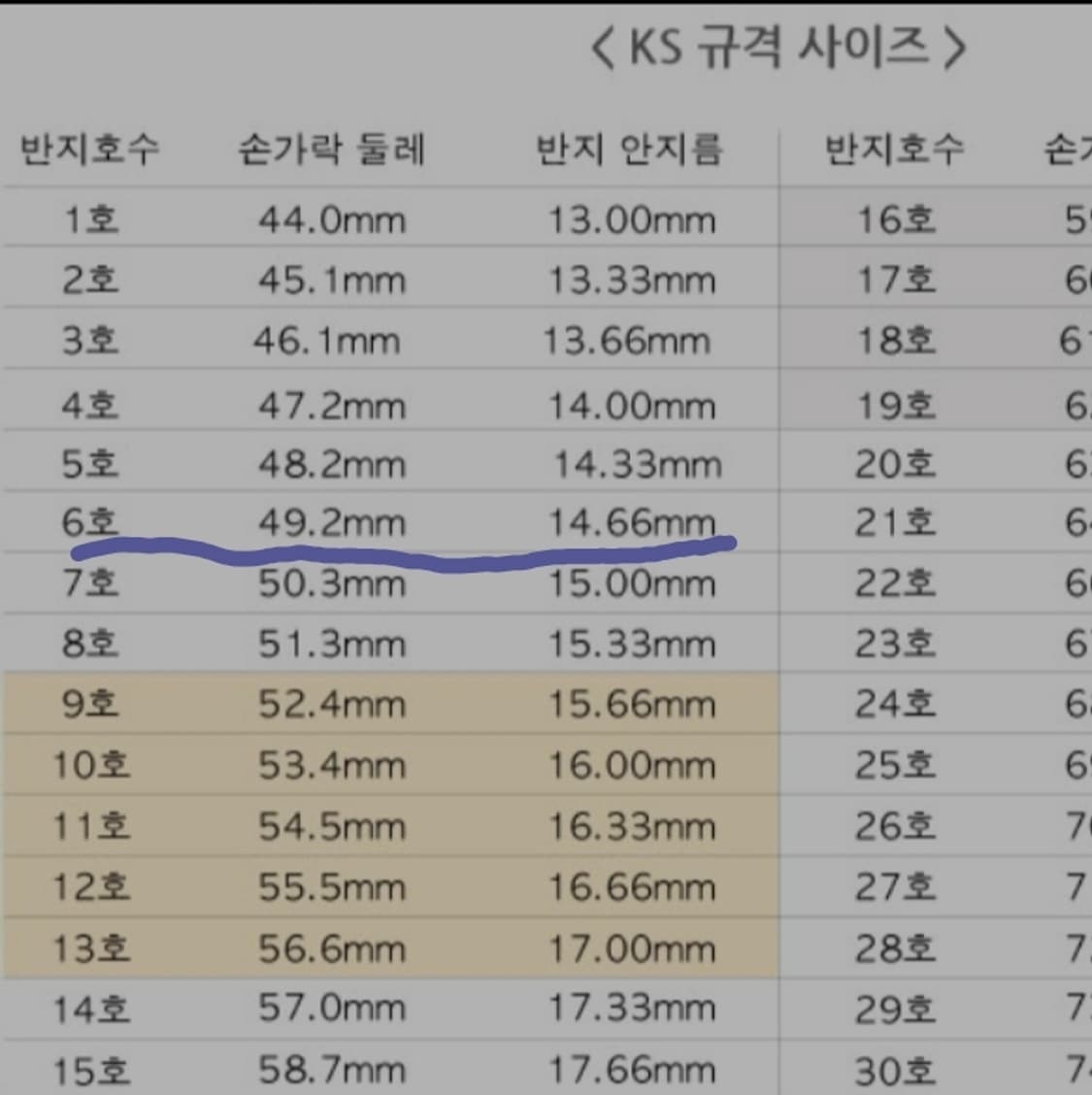 비비안웨스트우드 레오노르 반지 상품이미지10