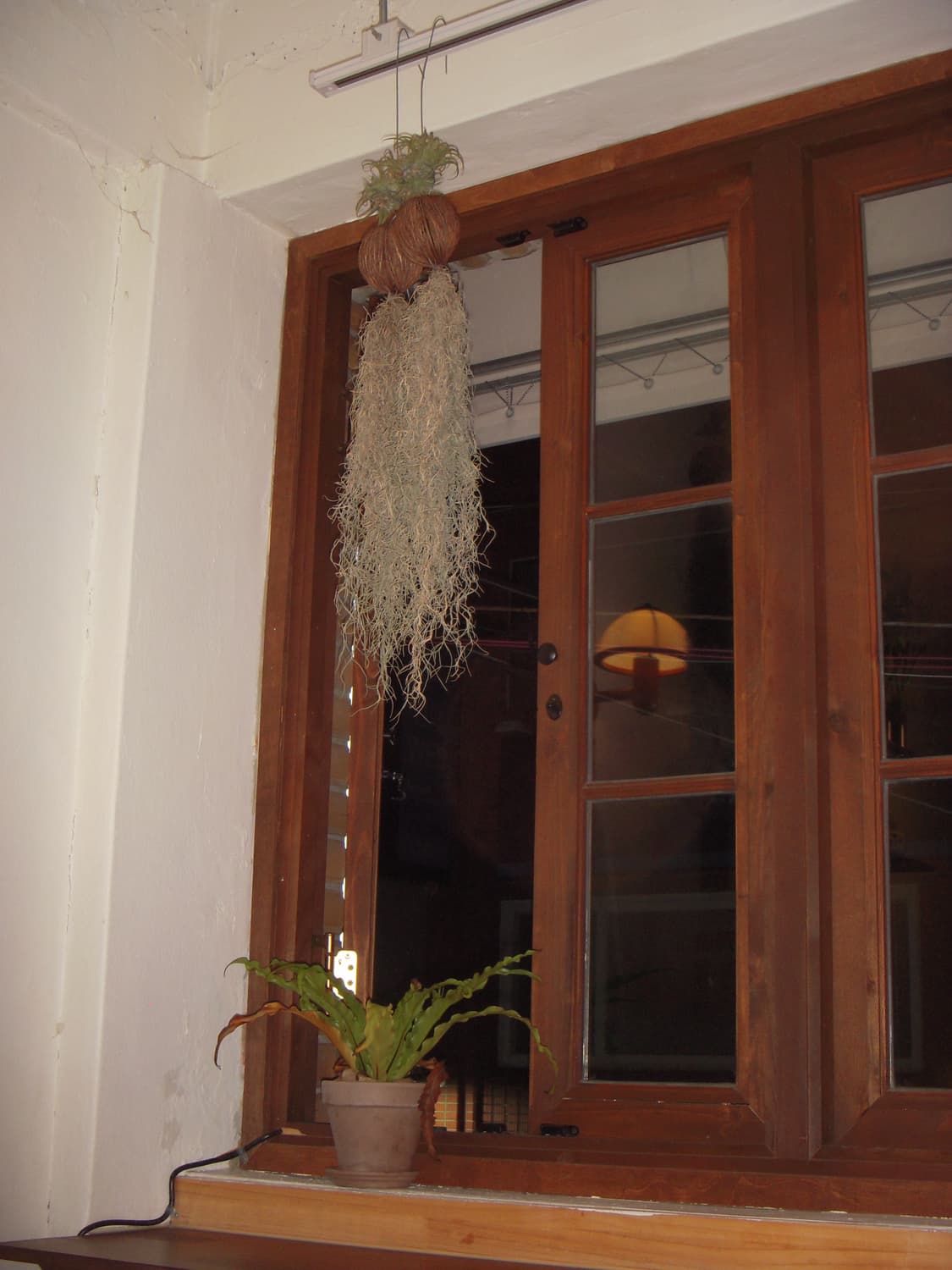 Nikon coolpix s52 디카 상품이미지9