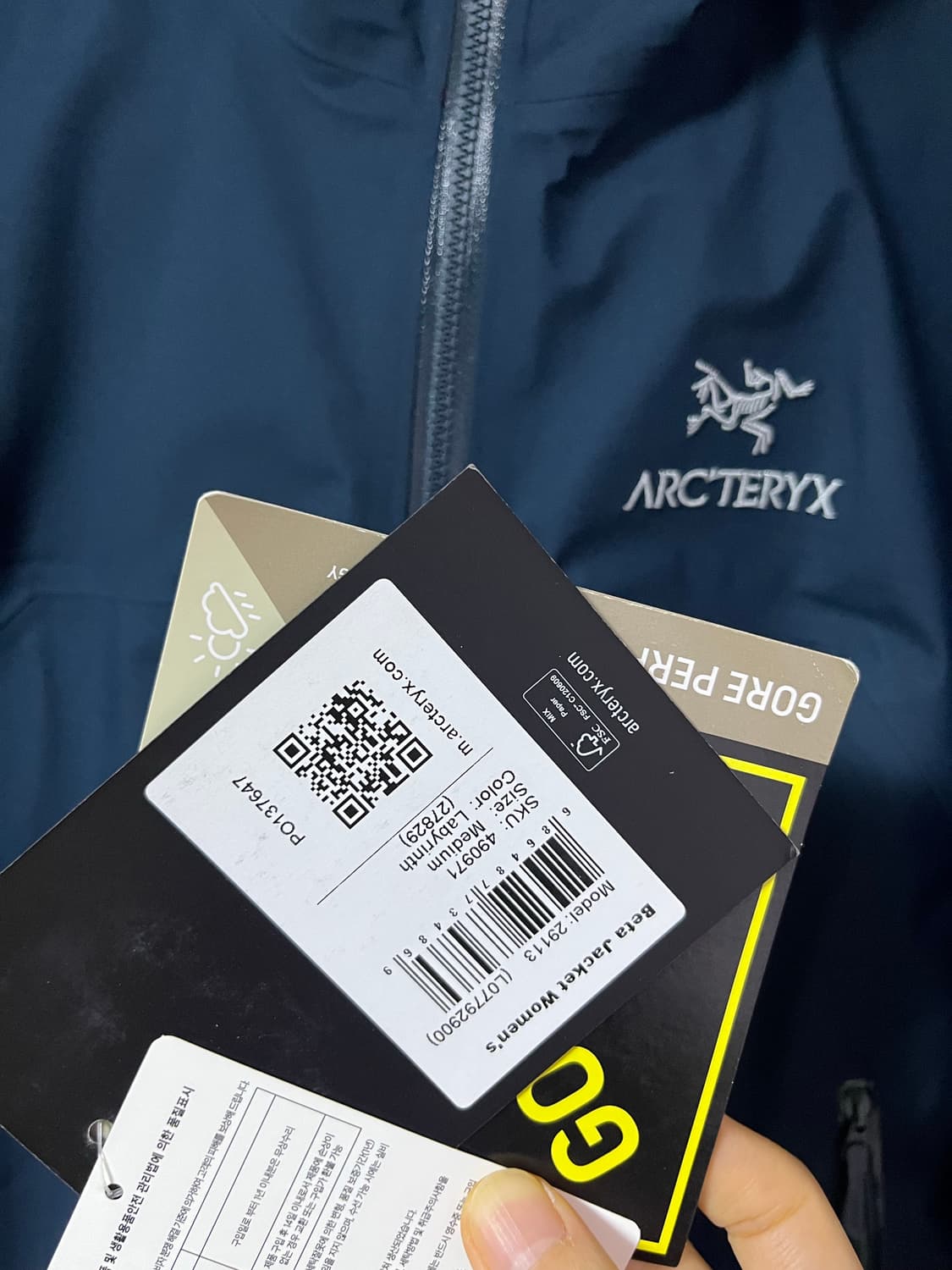 아크테릭스 베타 우먼 M 상품이미지6