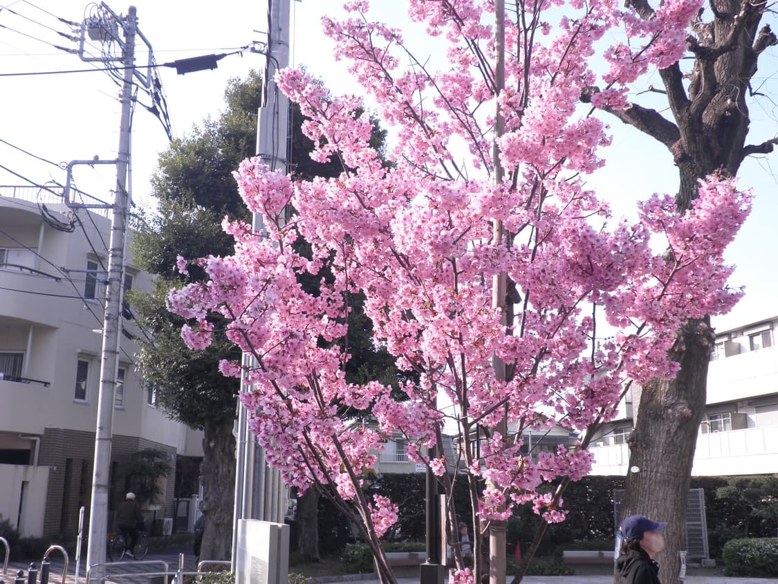 올림푸스 디카 X-935 상품이미지6