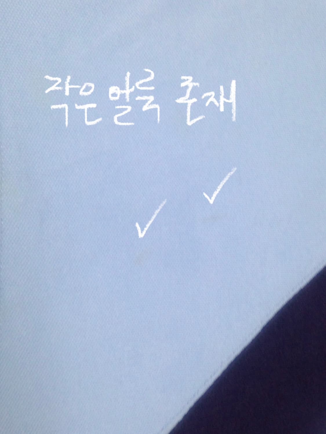 치프키프 폴로 랄프로렌 빅포니 카라티 상품이미지3